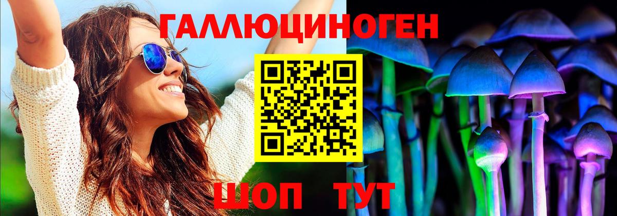 Псилоцибиновые грибы MAGIC MUSHROOMS  Вход с VPN  Гагарин 