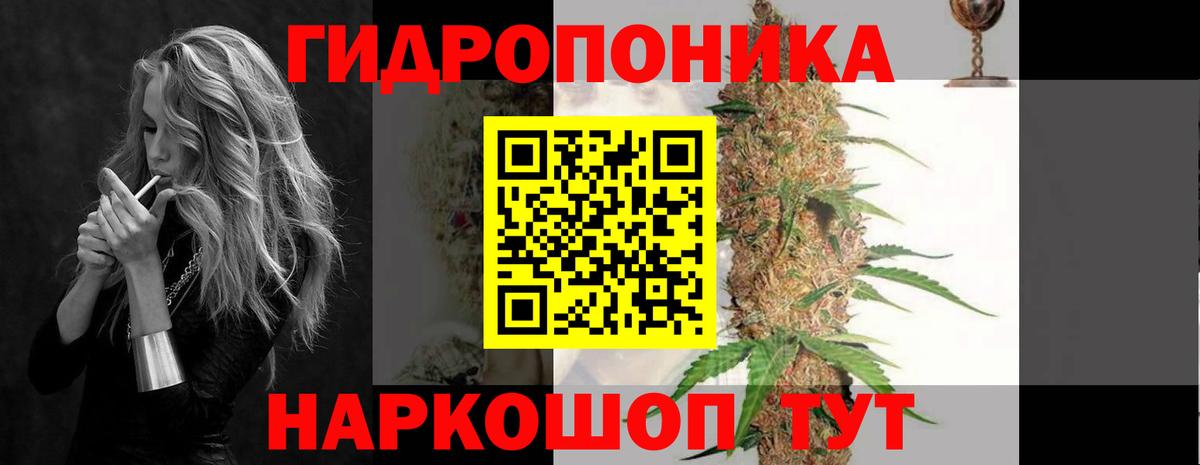 Каннабис SATIVA & INDICA Гагарин
